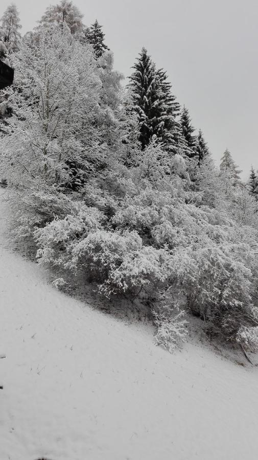 Pension Brunner Bad Kleinkirchheim Bagian luar foto